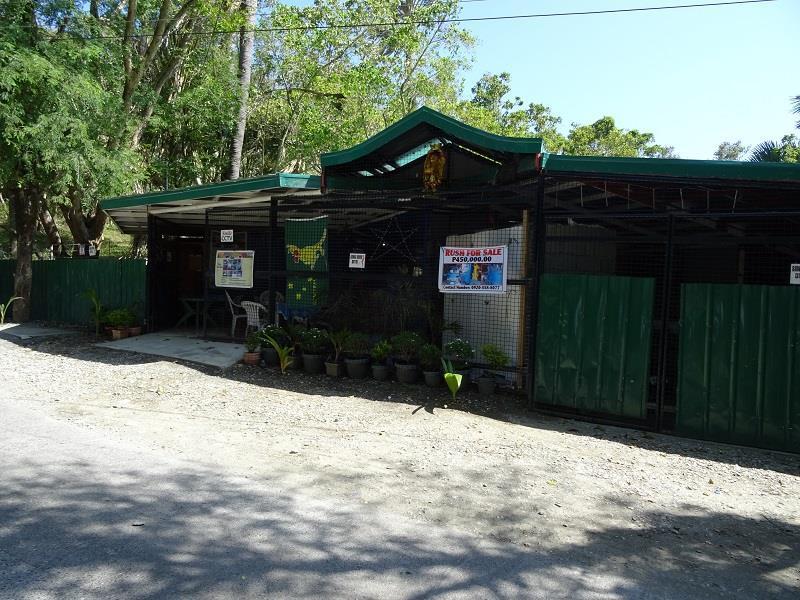Happy Buddha Inn Puerto Galera Bagian luar foto